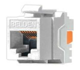 Conector Jack RJ45 CAT6  BELDEN AX101320 - RJ-45, Blanco, Cat 6