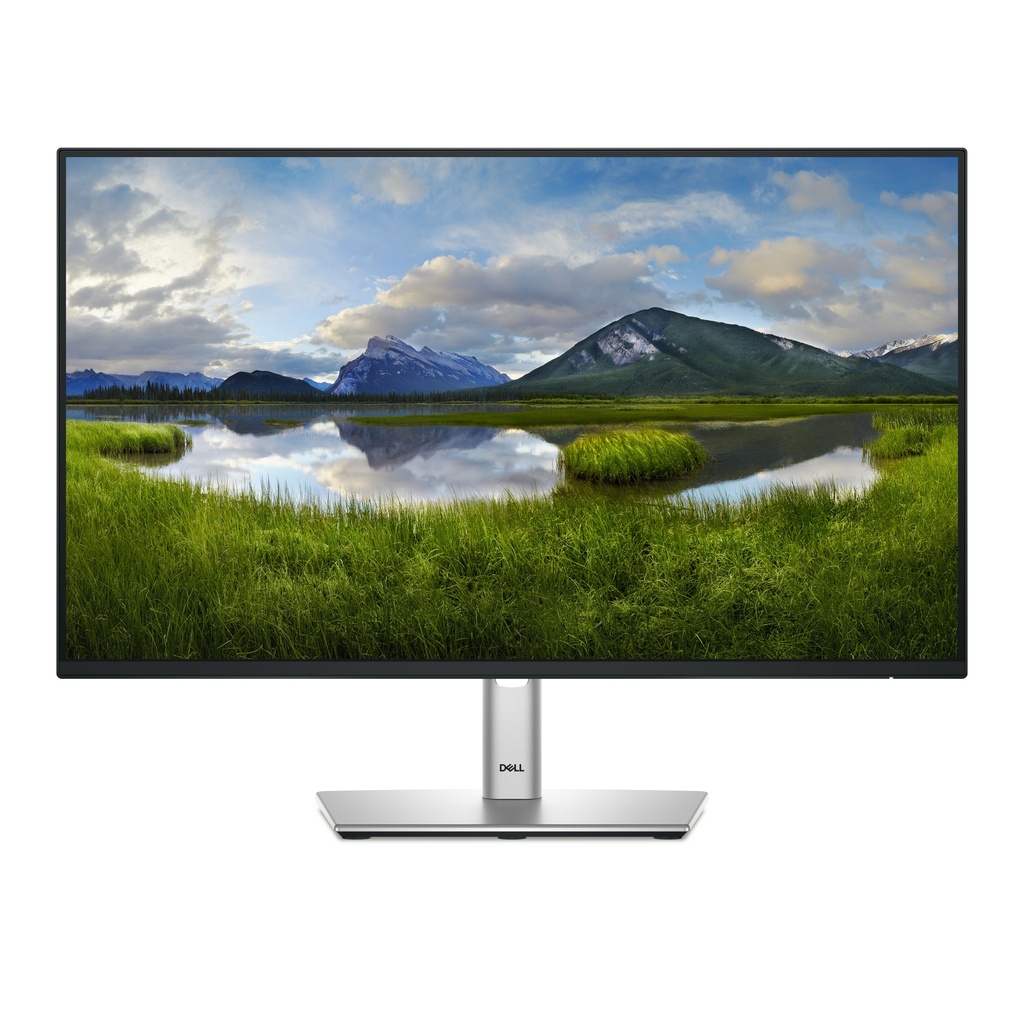 MONITOR DELL P2425HE 210-BMKK - 23, 8 Pulgadas Contraste 1500:1, 1 RJ45, VESA (100 x 100 mm). Servicio y Garantía 3 años