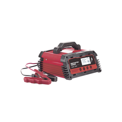 Cargador de Baterías / 12 o 24 Vcc / hasta 250 Ah / 25 A / Display LCD 